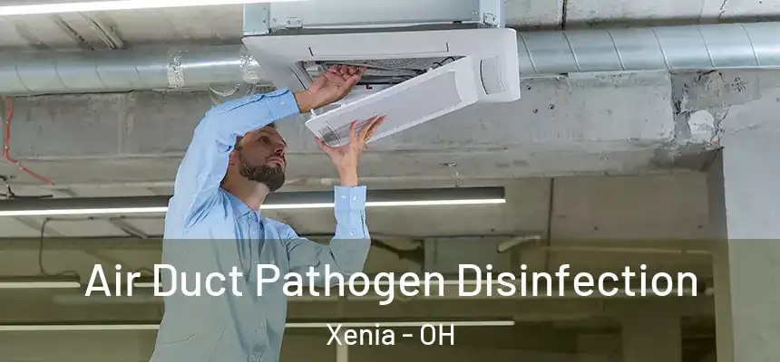  Air Duct Pathogen Disinfection Xenia - OH