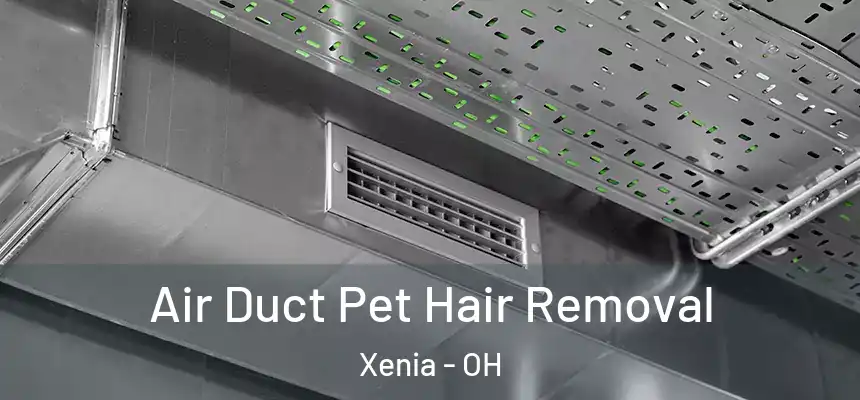 Air Duct Pet Hair Removal Xenia - OH