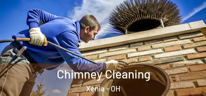 Chimney Cleaning Xenia - OH