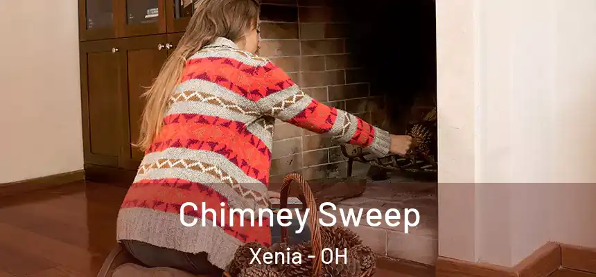  Chimney Sweep Xenia - OH