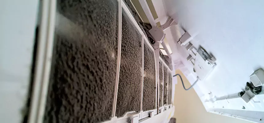 Preventive Air Duct Bacteria Removal in Xenia