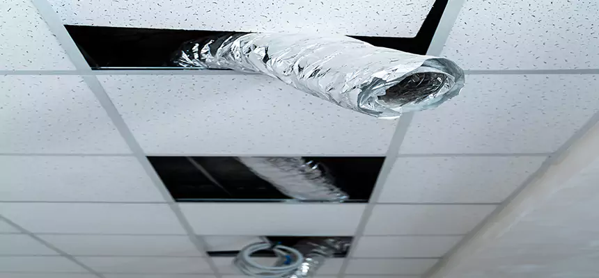 Our Air Duct Pet Hair Removal Services in Xenia, OH