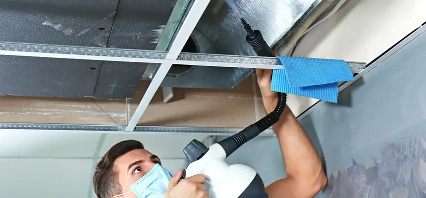 Our Air Duct Rodent Removal Services in Xenia, OH