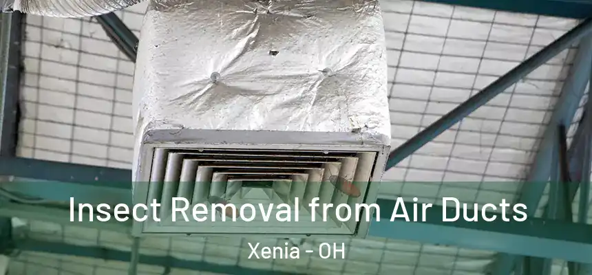 Insect Removal from Air Ducts Xenia - OH