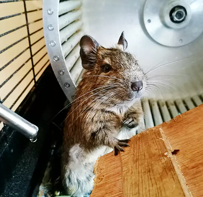 Why Homeowners & Businesses Trust Us Xenia, OH