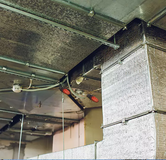 Why Homeowners & Businesses Trust Us Xenia, OH?